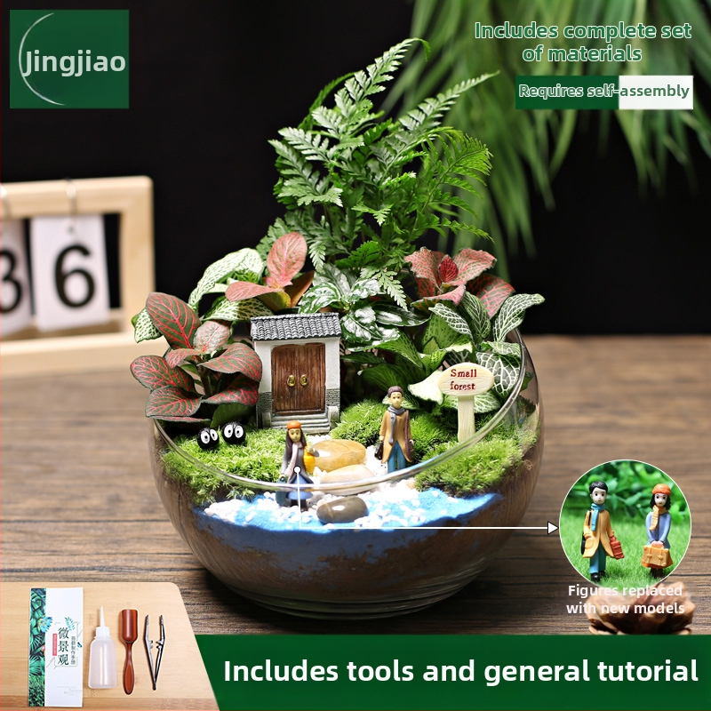 18-os osaline DIY mini sammalmaastiku komplekt koos siidiliste lilledega, Turtle Back tõug, pulmadeks