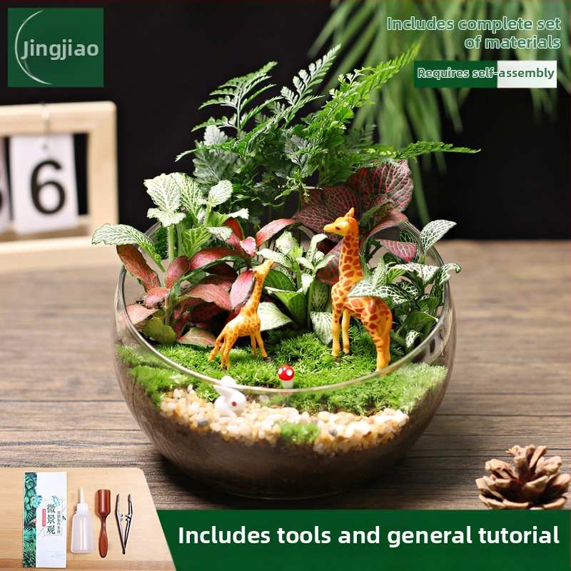 18-os osaline DIY mini sammalmaastiku komplekt koos siidiliste lilledega, Turtle Back tõug, pulmadeks