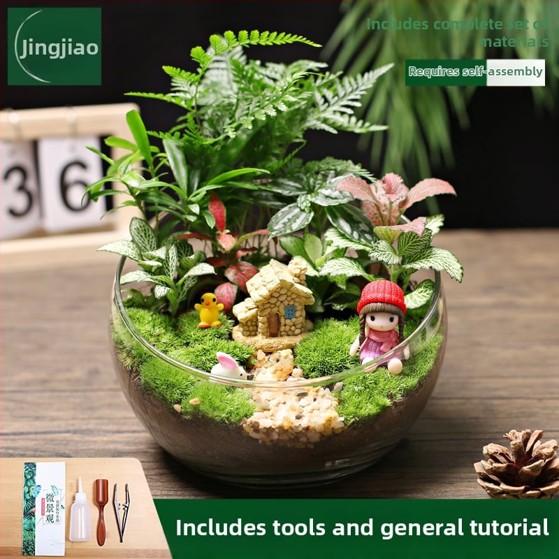 18-os osaline DIY mini sammalmaastiku komplekt koos siidiliste lilledega, Turtle Back tõug, pulmadeks