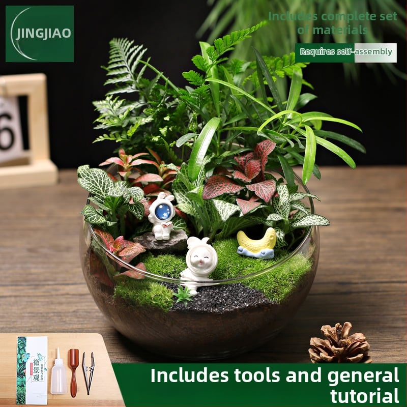 18-os osaline DIY mini sammalmaastiku komplekt koos siidiliste lilledega, Turtle Back tõug, pulmadeks