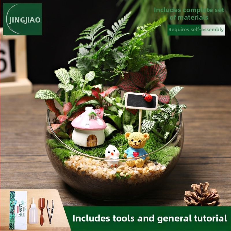 18-os osaline DIY mini sammalmaastiku komplekt koos siidiliste lilledega, Turtle Back tõug, pulmadeks