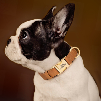 Gravirana ogrlica za pse sa zaštitom od gubitka – Univerzalni stil, Uzorak 69850, Materijal: svilen cvijet