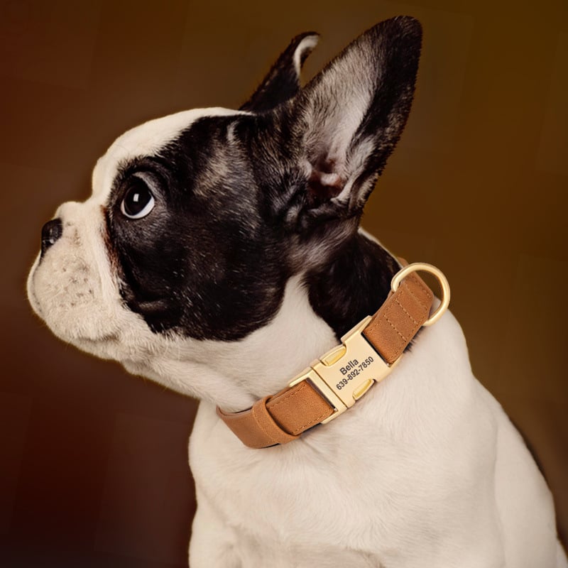 Gravirana ogrlica za pse sa zaštitom od gubitka – Univerzalni stil, Uzorak 69850, Materijal: svilen cvijet