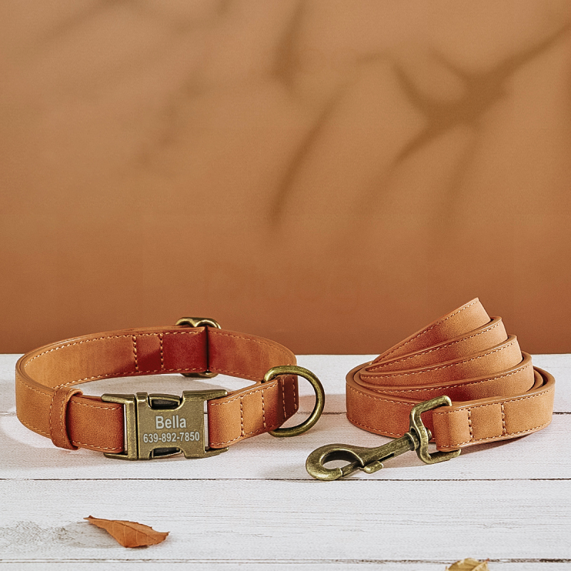 Gravirana ogrlica za pse sa zaštitom od gubitka – Univerzalni stil, Uzorak 69850, Materijal: svilen cvijet