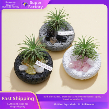 Krištolinio ananaso terariumas su oro augalu, šiuolaikiškas minimalistinis geometrinis dekoras