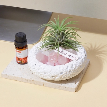 Krištolinio ananaso terariumas su oro augalu, šiuolaikiškas minimalistinis geometrinis dekoras