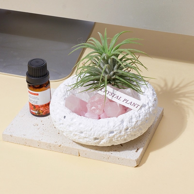 Krištolinio ananaso terariumas su oro augalu, šiuolaikiškas minimalistinis geometrinis dekoras