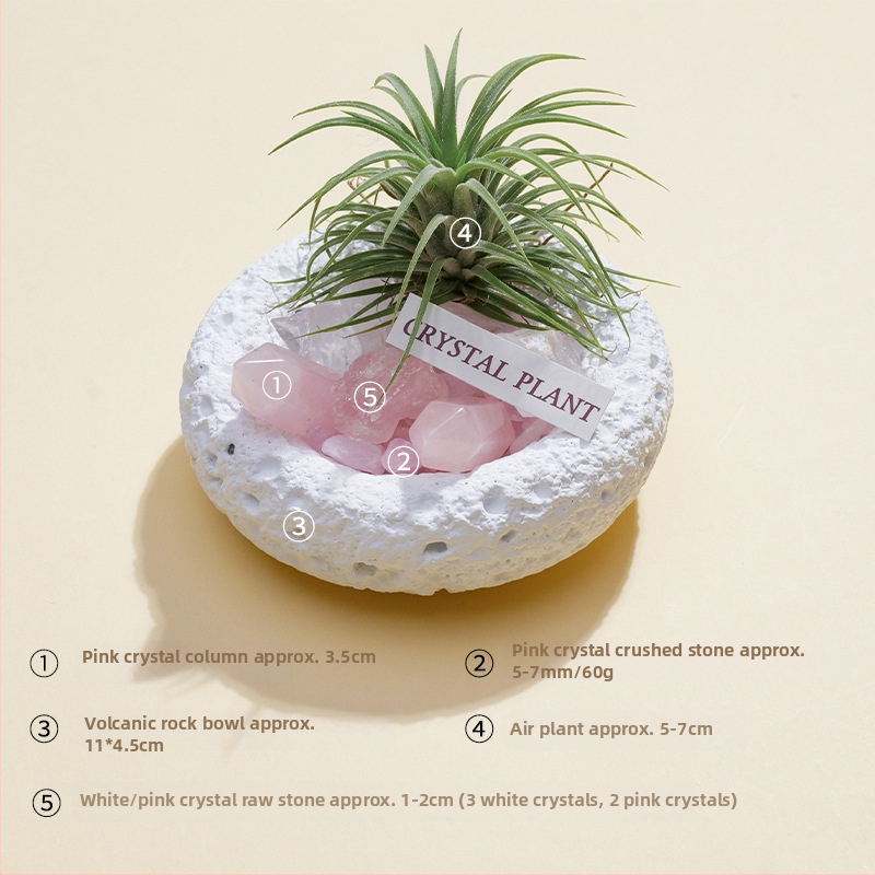 Krištolinio ananaso terariumas su oro augalu, šiuolaikiškas minimalistinis geometrinis dekoras