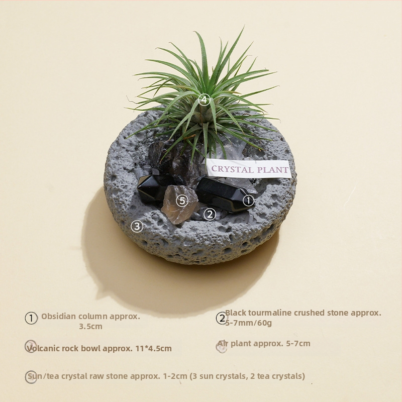 Krištolinio ananaso terariumas su oro augalu, šiuolaikiškas minimalistinis geometrinis dekoras