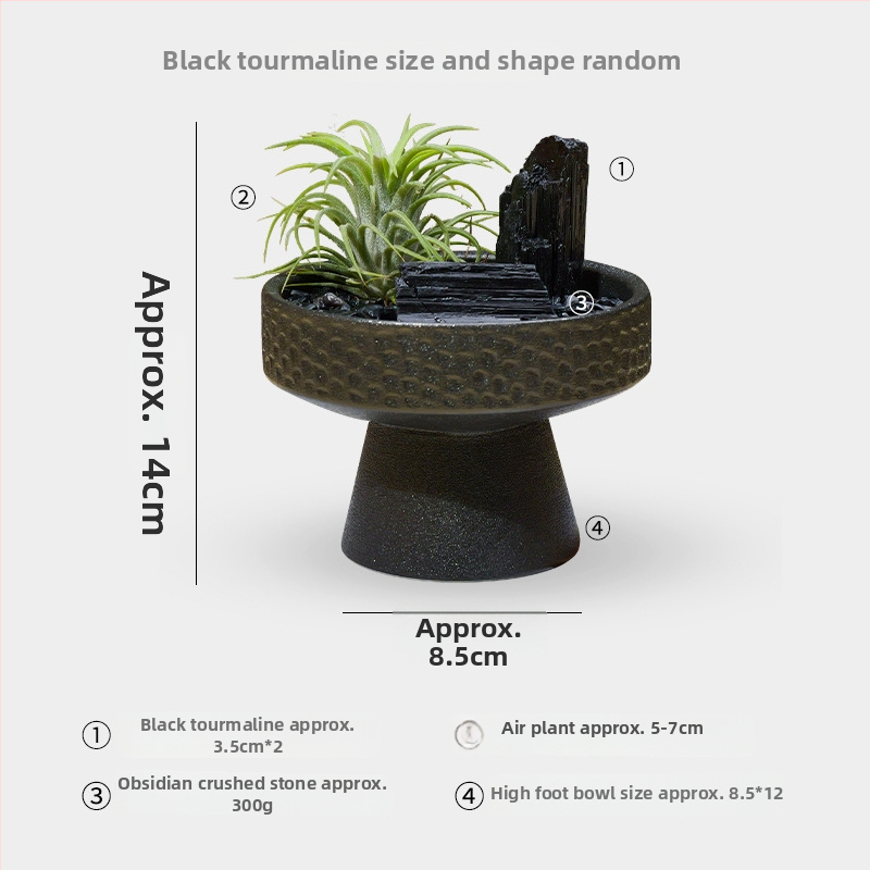 Krištolinio ananaso terariumas su oro augalu, šiuolaikiškas minimalistinis geometrinis dekoras