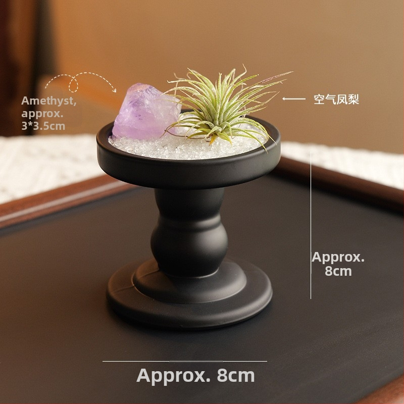 Krištolinio ananaso terariumas su oro augalu, šiuolaikiškas minimalistinis geometrinis dekoras