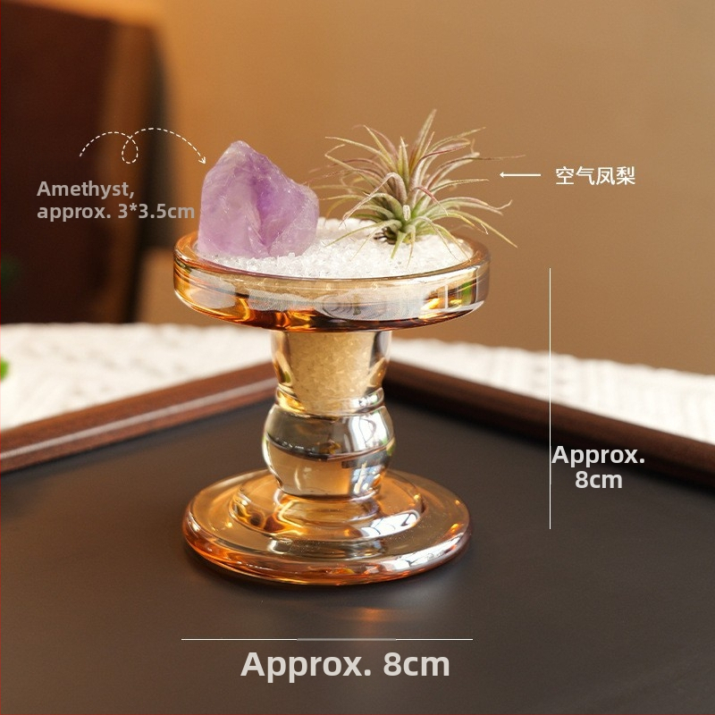 Krištolinio ananaso terariumas su oro augalu, šiuolaikiškas minimalistinis geometrinis dekoras