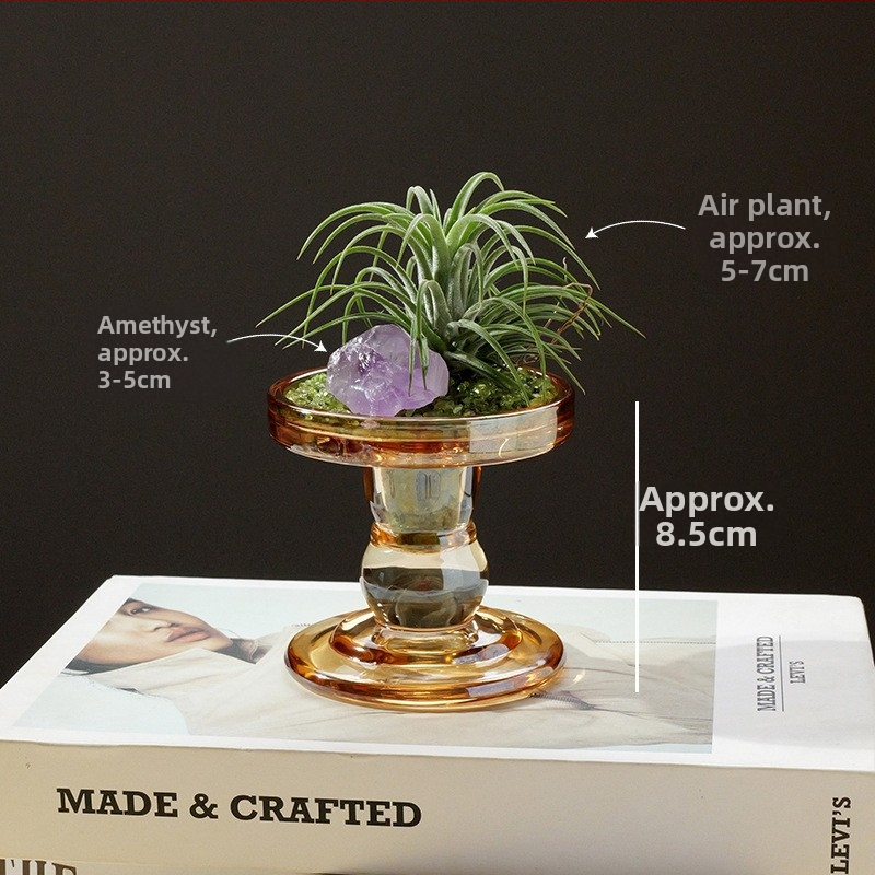 Krištolinio ananaso terariumas su oro augalu, šiuolaikiškas minimalistinis geometrinis dekoras