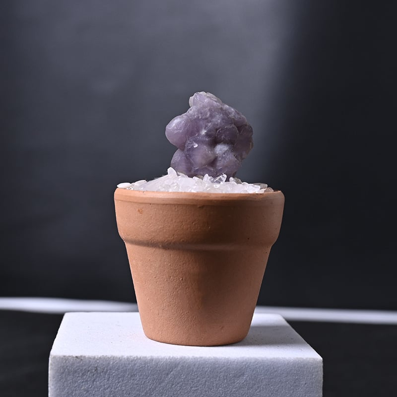 Krištolo medžio stalinis papuošimas su keraminiu vazonu – šiuolaikinis minimalistinis stilius, prekės ženklas Rubbing Crystal