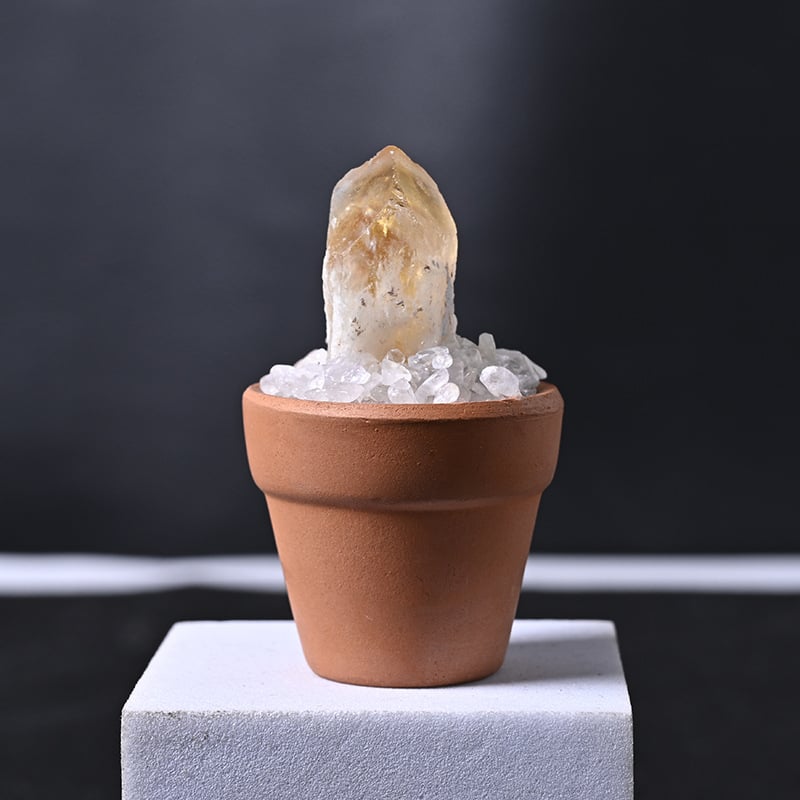 Krištolo medžio stalinis papuošimas su keraminiu vazonu – šiuolaikinis minimalistinis stilius, prekės ženklas Rubbing Crystal