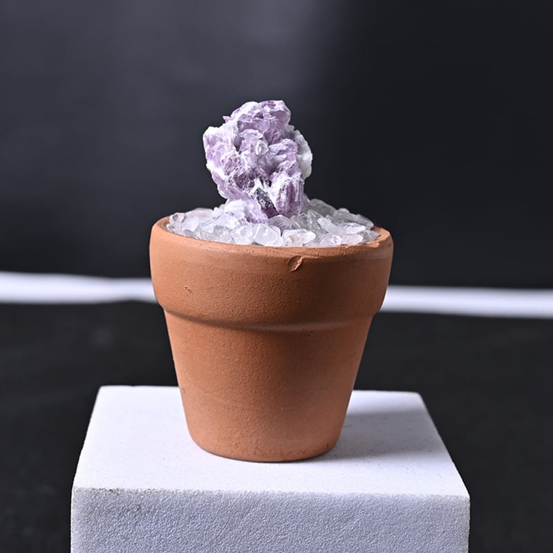 Krištolo medžio stalinis papuošimas su keraminiu vazonu – šiuolaikinis minimalistinis stilius, prekės ženklas Rubbing Crystal