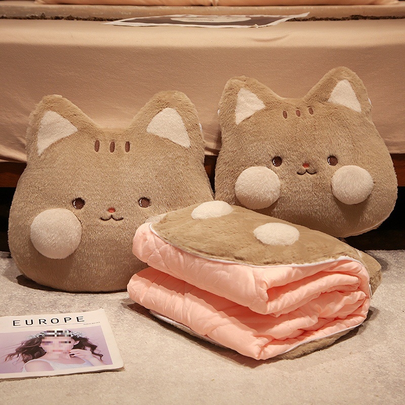 Auto-padi ja tekk 2-ühes: talvine paks pleed, pehme kate, täidis siidi kiududest, karikatuurimuster, lihtne ja kaasaegne stiil