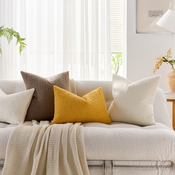 Husă pentru pernă de living, stil nordic, catifea Teddy, model solid, poliester