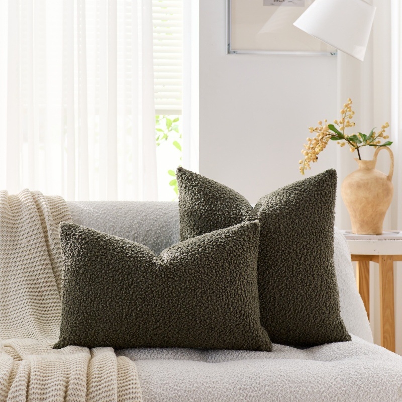 Husă pentru pernă de living, stil nordic, catifea Teddy, model solid, poliester