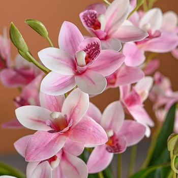 Букет орхидеи от пластмаса PVC за домашна декорация и реквизит за снимки