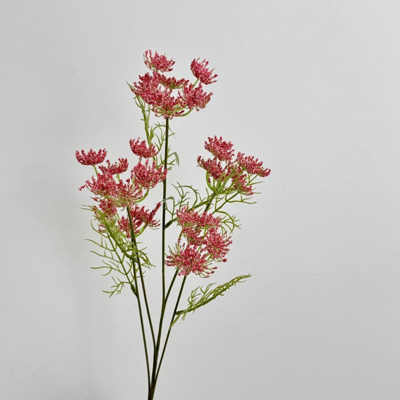 5-пръстенo дантелени изкуствени цветя – Kangxin, пластмаса, инжекционно формоване, серия 8890773, за сватби, външни условия, реквизити за снимки, домашна декорация