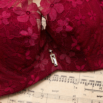 Sutien dantelat cu cupe turnate ultra-subțiri, 3/4 cup, material nylon, bretele fixe duble, închidere spate cu patru rânduri