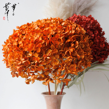 Säilinud Anna hortensia lilled, A-klassi, ühe varrega, DIY elutoa dekoreerimiseks, Dream Grass