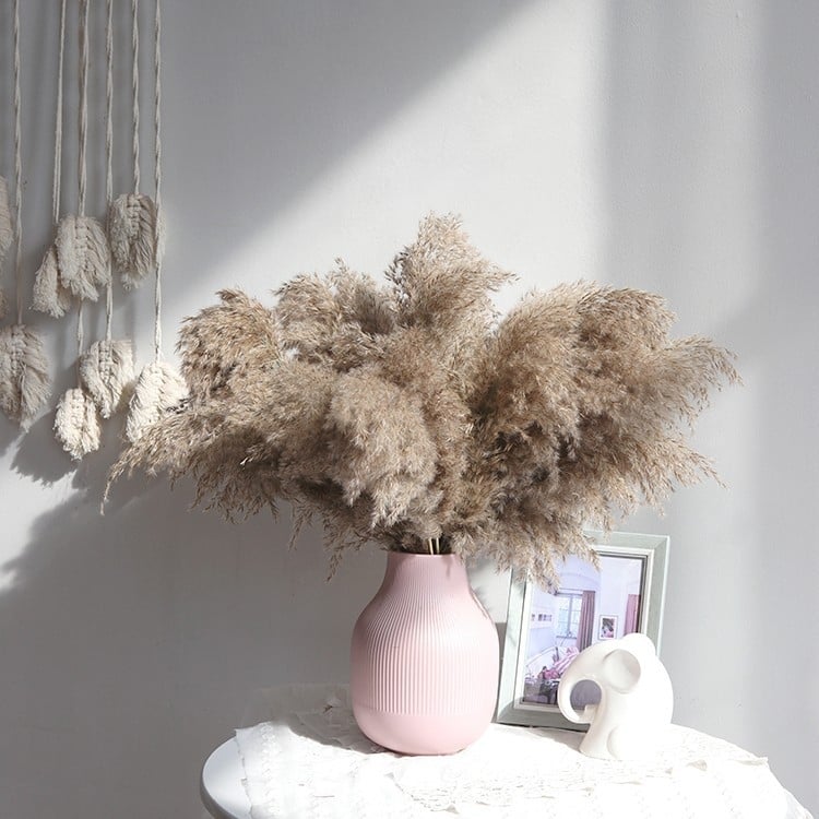 Kuivade lillede kimp, Wabi-Sabi stiil, Forget-me-not sortiment, värvimata, pakendatud Opp kotis