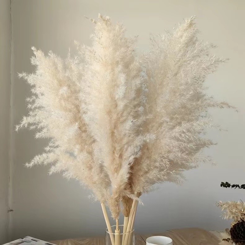 Kuivade lillede kimp, Wabi-Sabi stiil, Forget-me-not sortiment, värvimata, pakendatud Opp kotis