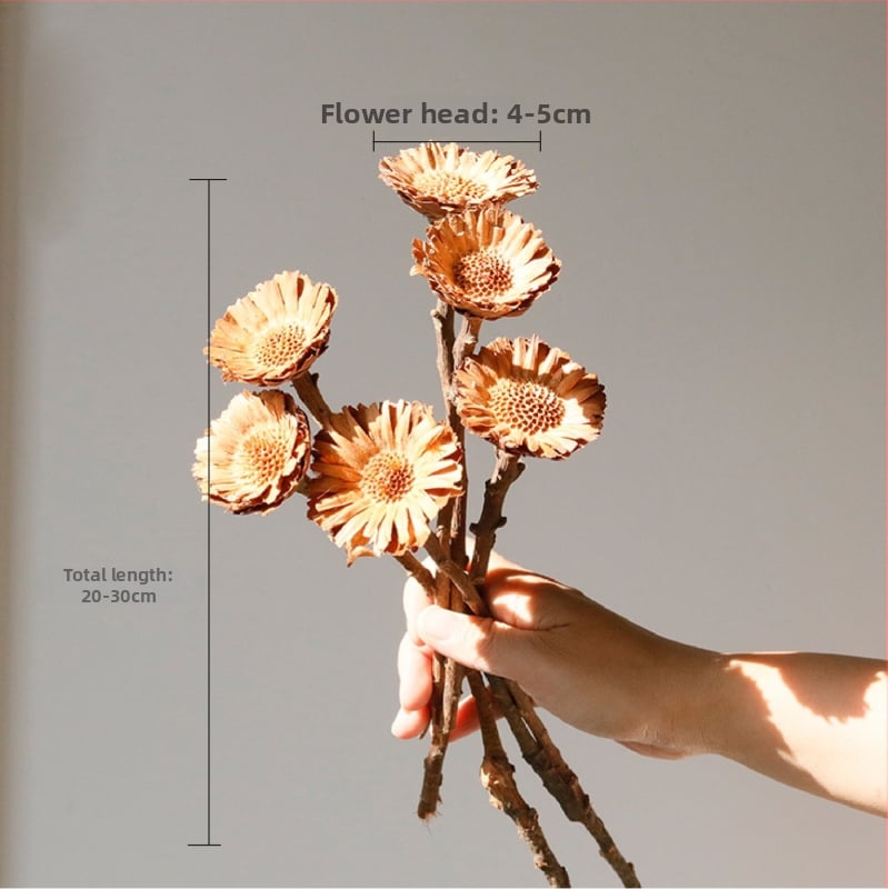 Kuivade lillede kimp, Wabi-Sabi stiil, Forget-me-not sortiment, värvimata, pakendatud Opp kotis