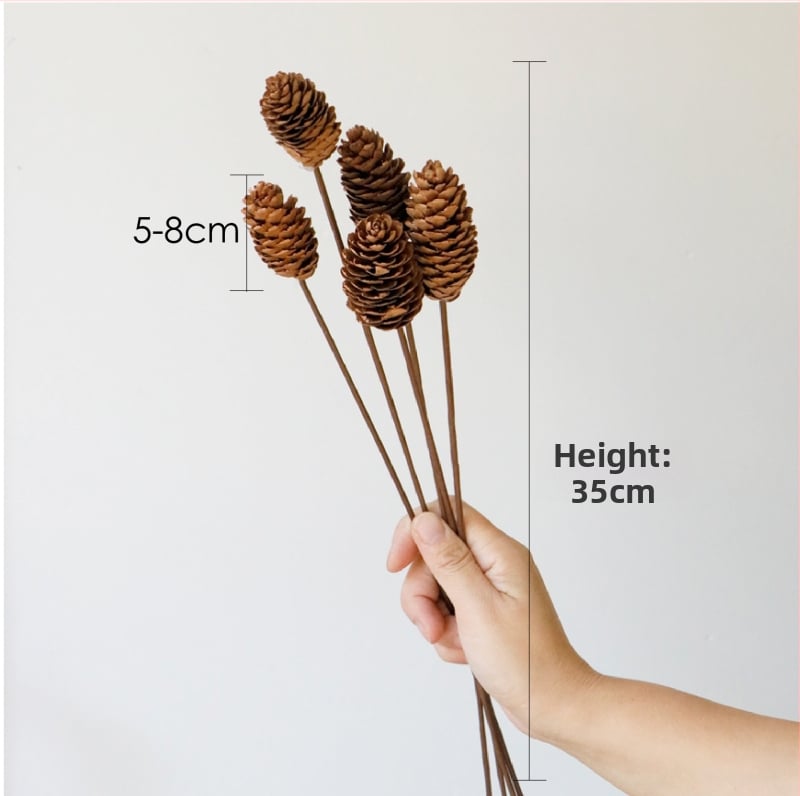 Kuivade lillede kimp, Wabi-Sabi stiil, Forget-me-not sortiment, värvimata, pakendatud Opp kotis