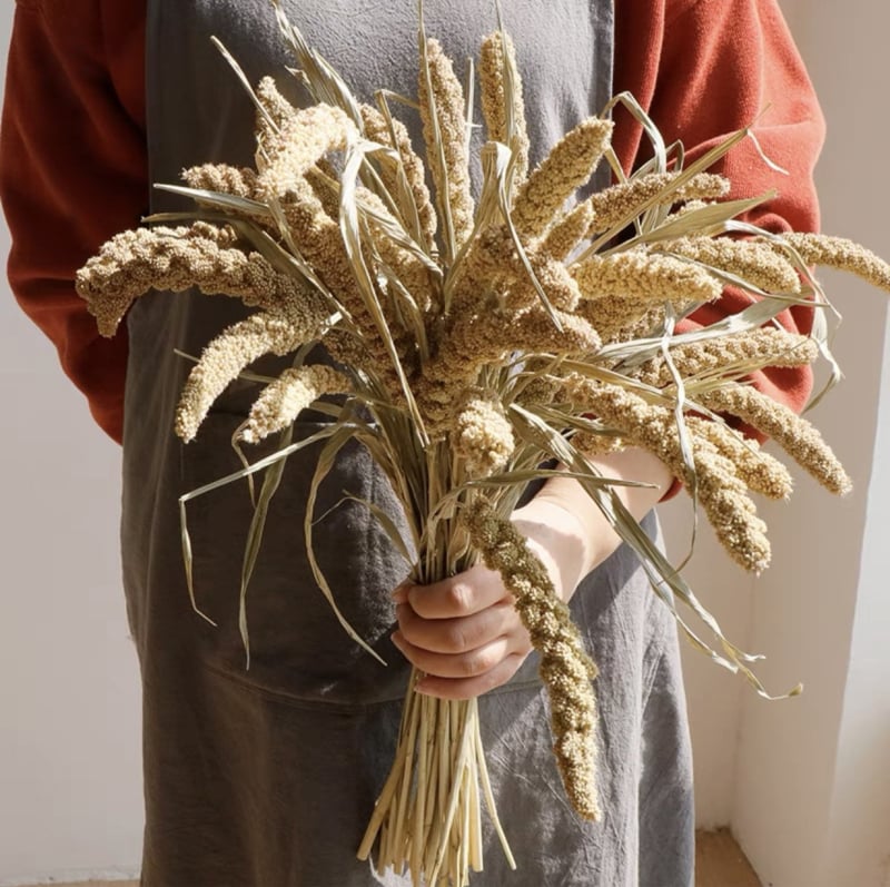 Kuivade lillede kimp, Wabi-Sabi stiil, Forget-me-not sortiment, värvimata, pakendatud Opp kotis