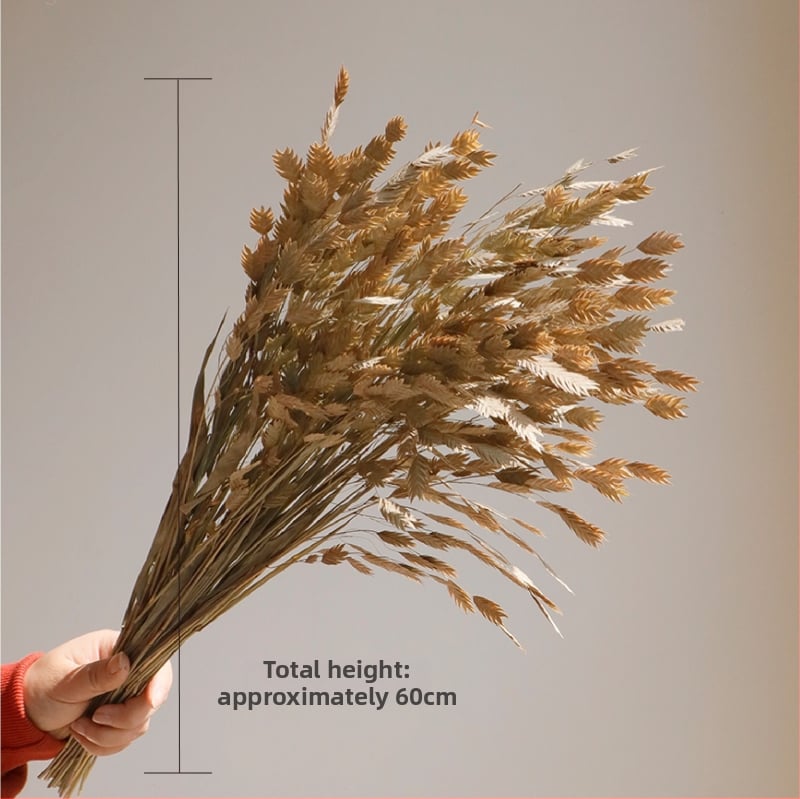 Kuivade lillede kimp, Wabi-Sabi stiil, Forget-me-not sortiment, värvimata, pakendatud Opp kotis