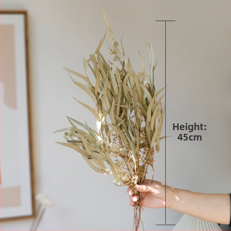 Kuivade lillede kimp, Wabi-Sabi stiil, Forget-me-not sortiment, värvimata, pakendatud Opp kotis