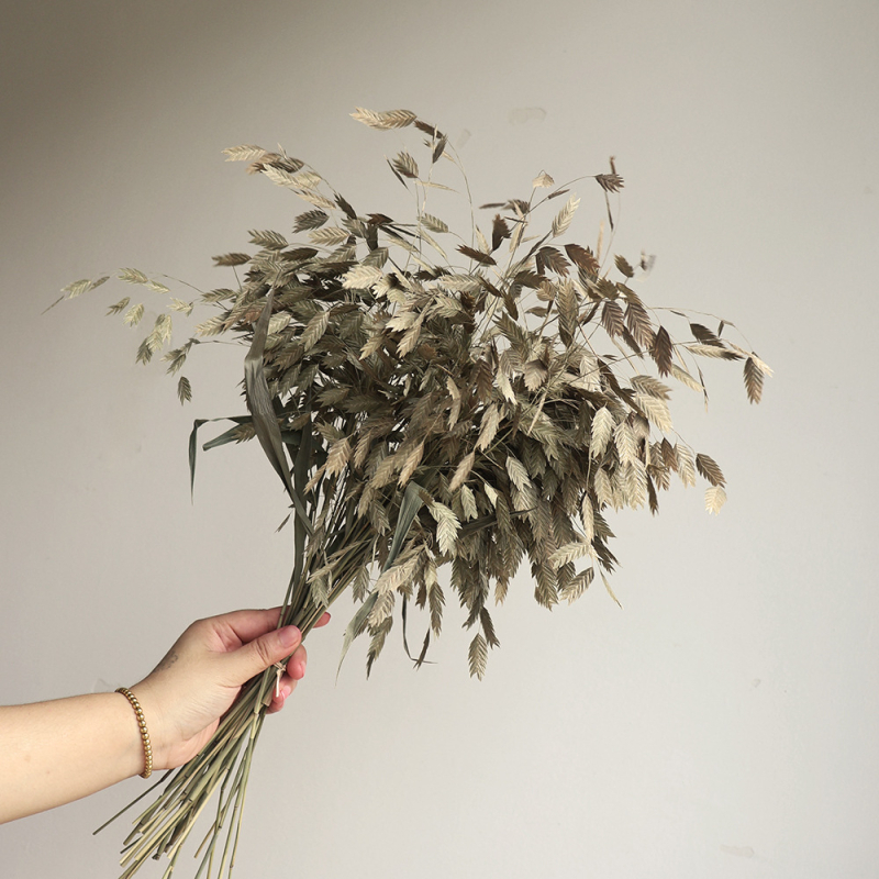 Kuivade lillede kimp, Wabi-Sabi stiil, Forget-me-not sortiment, värvimata, pakendatud Opp kotis