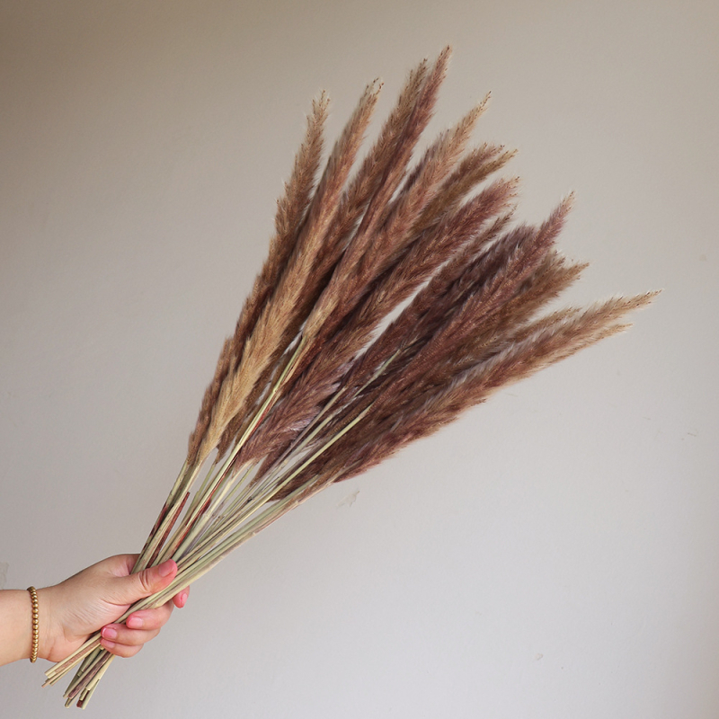 Kuivade lillede kimp, Wabi-Sabi stiil, Forget-me-not sortiment, värvimata, pakendatud Opp kotis