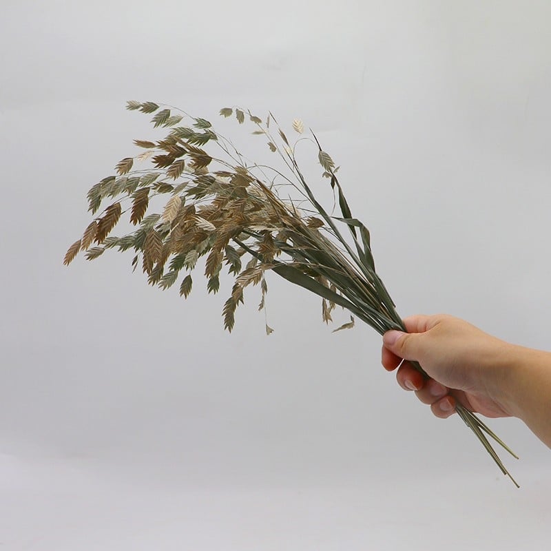 Kuivade lillede kimp, Wabi-Sabi stiil, Forget-me-not sortiment, värvimata, pakendatud Opp kotis