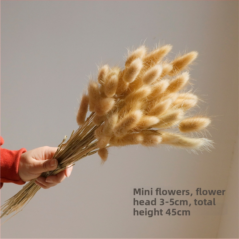 Kuivade lillede kimp, Wabi-Sabi stiil, Forget-me-not sortiment, värvimata, pakendatud Opp kotis