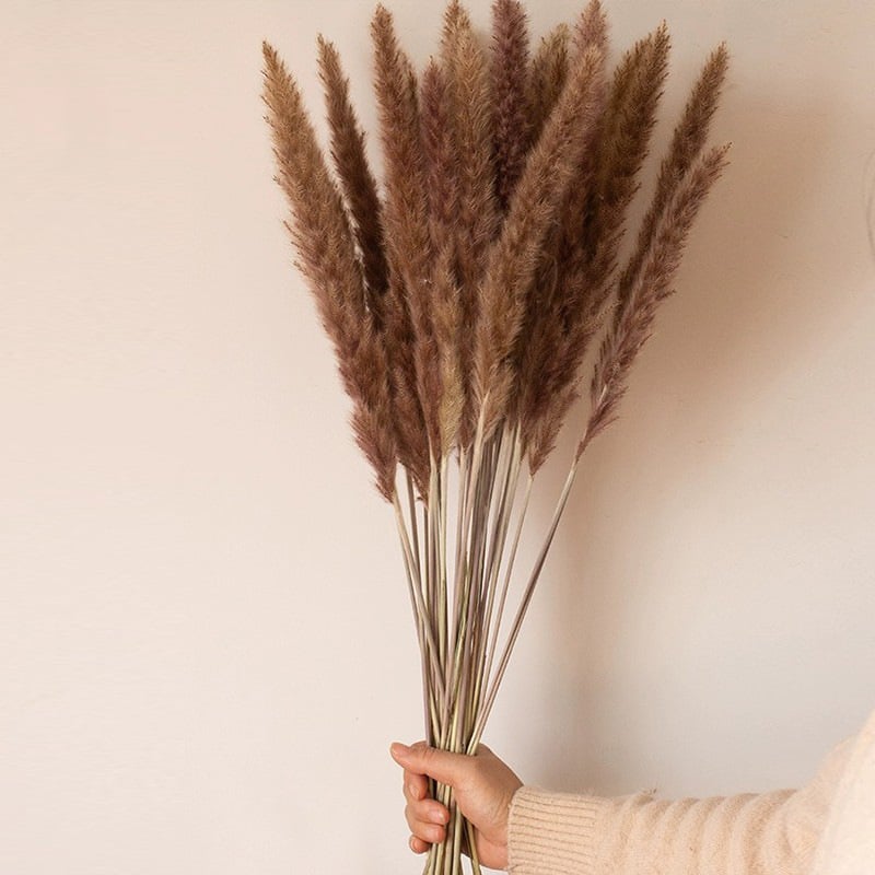 Kuivade lillede kimp, Wabi-Sabi stiil, Forget-me-not sortiment, värvimata, pakendatud Opp kotis