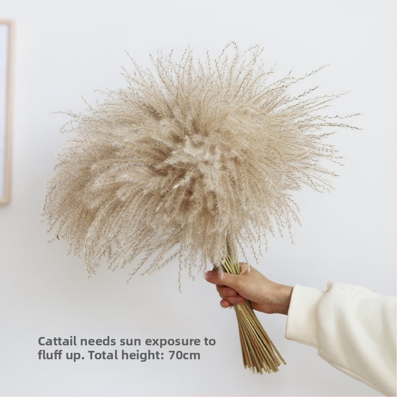 Kuivade lillede kimp, Wabi-Sabi stiil, Forget-me-not sortiment, värvimata, pakendatud Opp kotis