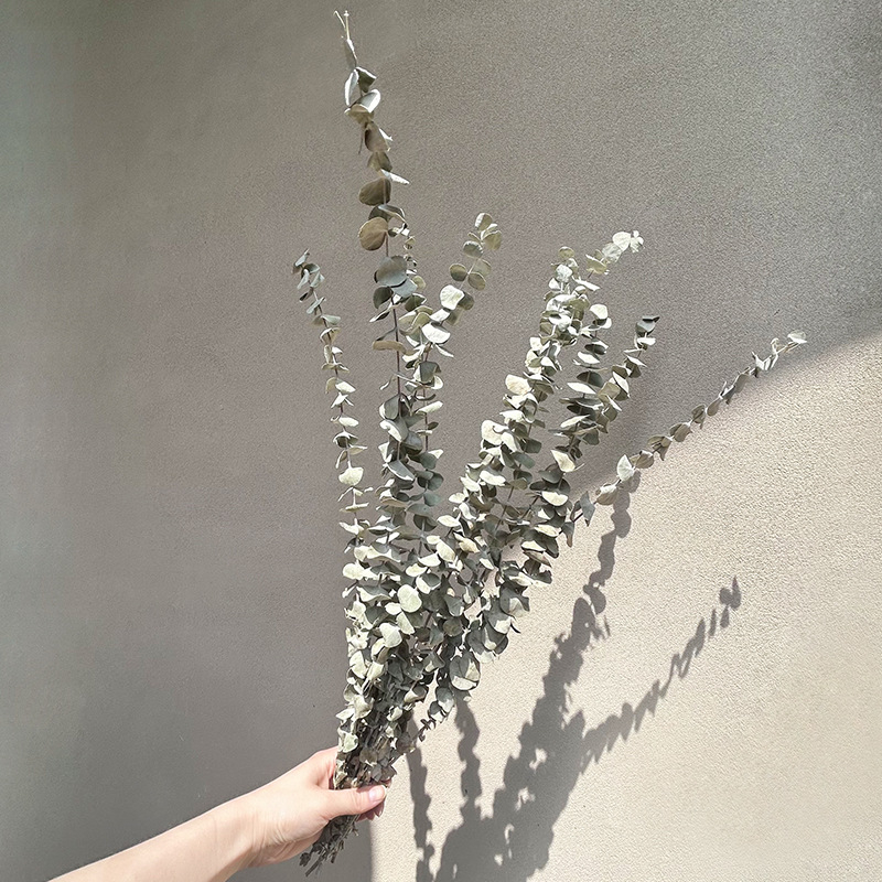 Kuivade lillede kimp, Wabi-Sabi stiil, Forget-me-not sortiment, värvimata, pakendatud Opp kotis