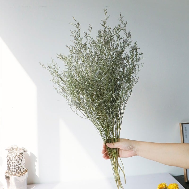 Kuivade lillede kimp, Wabi-Sabi stiil, Forget-me-not sortiment, värvimata, pakendatud Opp kotis