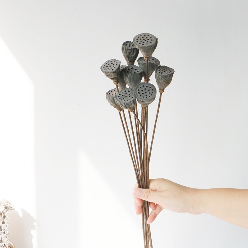 Kuivade lillede kimp, Wabi-Sabi stiil, Forget-me-not sortiment, värvimata, pakendatud Opp kotis