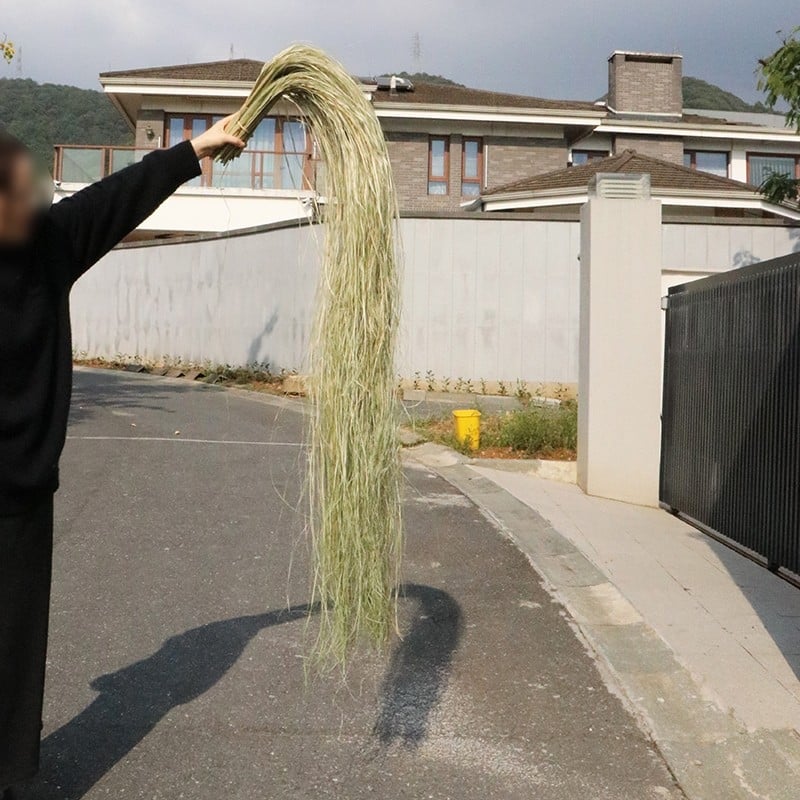 Kuivade lillede kimp, Wabi-Sabi stiil, Forget-me-not sortiment, värvimata, pakendatud Opp kotis