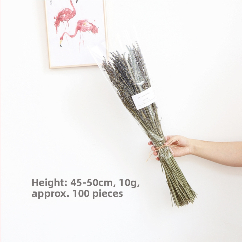 Kuivade lillede kimp, Wabi-Sabi stiil, Forget-me-not sortiment, värvimata, pakendatud Opp kotis