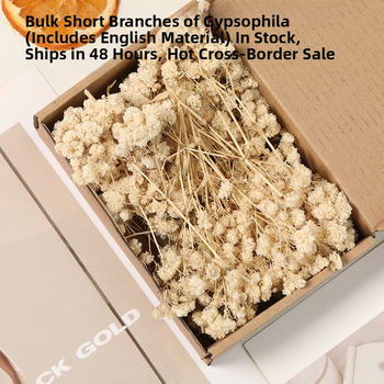 Lill – Starry Sky kuivatatud gypsophila, värvitud, DIY lillekimp komplekt karbis