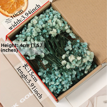 Lill – Starry Sky kuivatatud gypsophila, värvitud, DIY lillekimp komplekt karbis