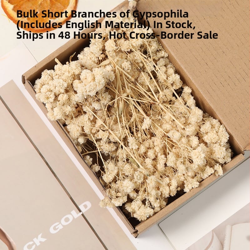 Zieds – Starry Sky žāvēta ģipsofila, krāsota, DIY pušķu komplekts kastē