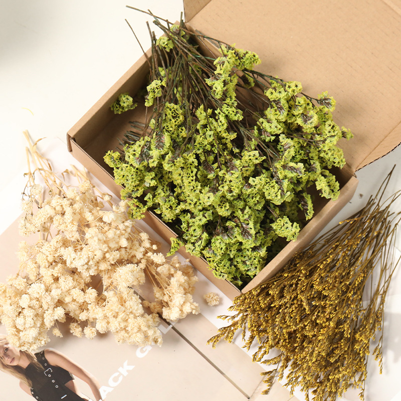 Lill – Starry Sky kuivatatud gypsophila, värvitud, DIY lillekimp komplekt karbis