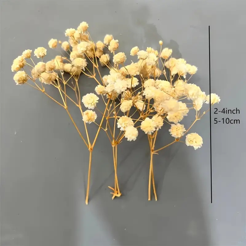 Lill – Starry Sky kuivatatud gypsophila, värvitud, DIY lillekimp komplekt karbis